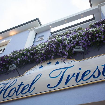Hotel Trieste เชเซนาติโก ภายนอก รูปภาพ